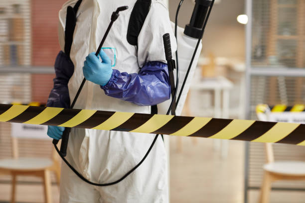 Professional Hoarding Cleanup technician working in Evans, CO
